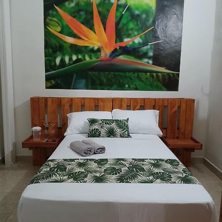 Hospedajes El Jardin Envigado Eksteriør bilde