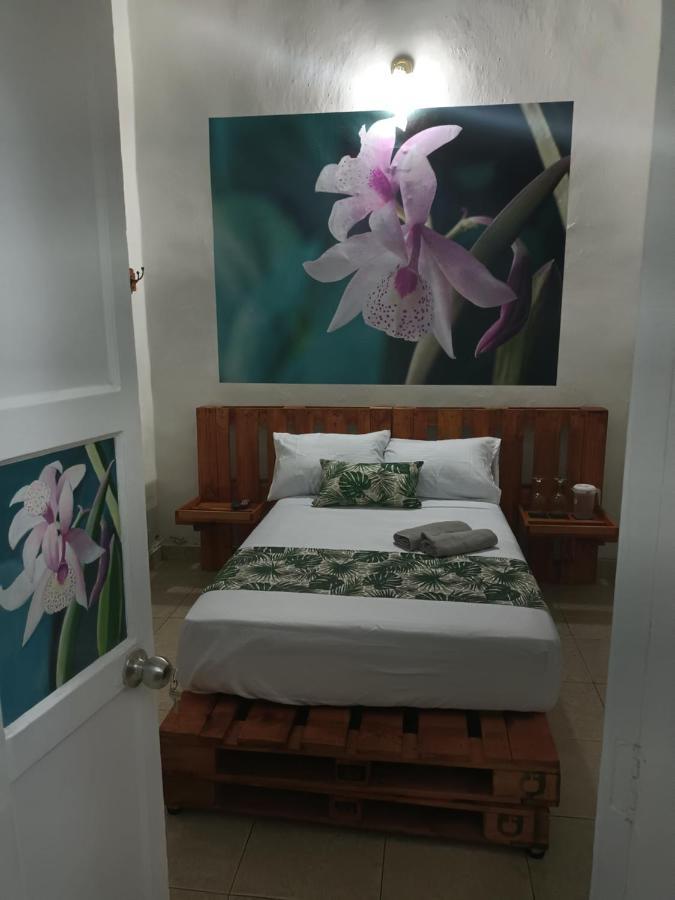 Hospedajes El Jardin Envigado Eksteriør bilde
